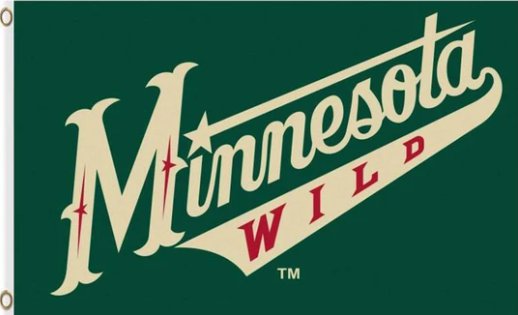 Minnesota Wild US Flag 3X5Ft Polyester Digital Print Banner USA