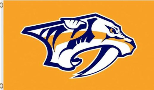 Nashville Predators Team Flag 3X5Ft Polyester Digital Print Banner USA