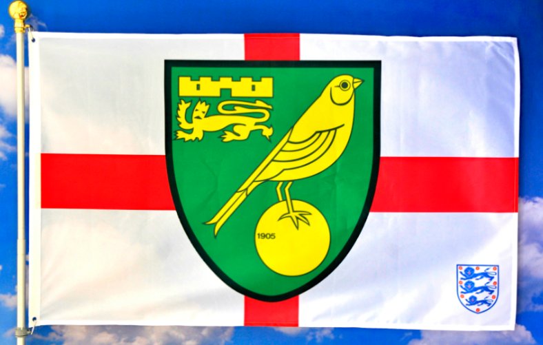 Norwich City Football Club Flag White Red 3x5ft Banner Polyester