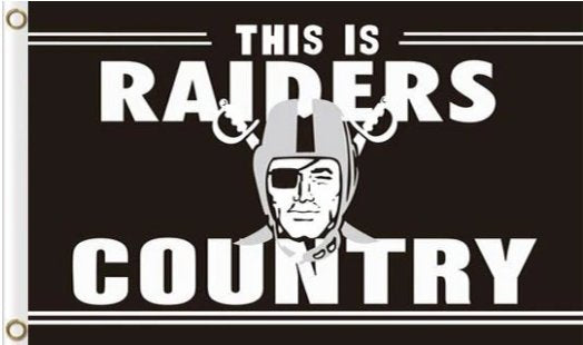 Oakland Raiders National Football Sport Club Flag 3X5 Ft Polyester Banner USA 90x150cm