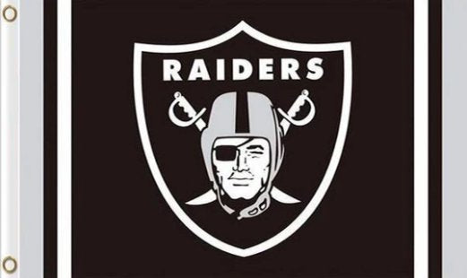 Oakland Raiders Team Flag 3X5 Ft Polyester Banner USA 90x150cm