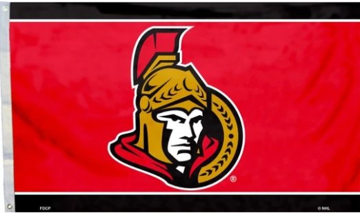 Ottawa Senators Custom US Flag 3X5Ft Polyester Digital Print Banner USA
