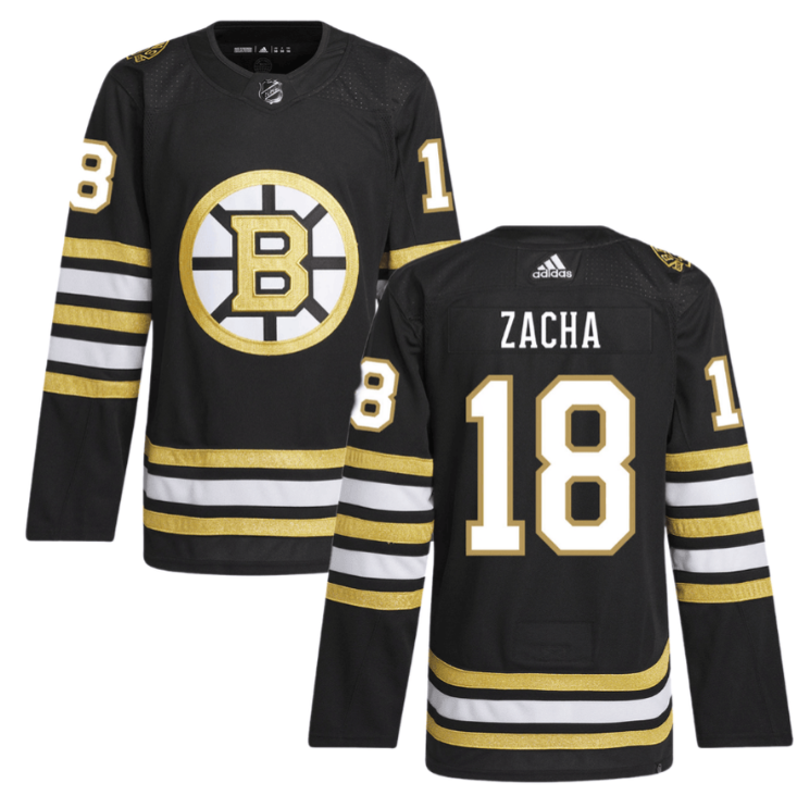Pavel Zacha 18 Boston Bruins 100th Anniversary Primegreen Home Men Jersey Black