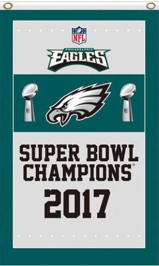 Philadelphia Eagles Super Bowl Champions 2017 Flag 3X5 Ft Polyester Banner USA 90x150cm