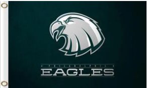 Philadelphia Eagles Team Flag 3X5 Ft Polyester Banner USA 90x150cm