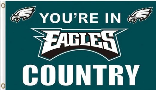 Philadelphia Eagles You Are In Country Flag 3X5 Ft Polyester Banner USA 90x150cm