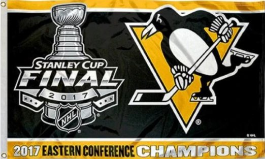 Pittsburgh Penguins 2017 Eastern Conference Champions Flag 3X5Ft Polyester Digital Print Banner USA