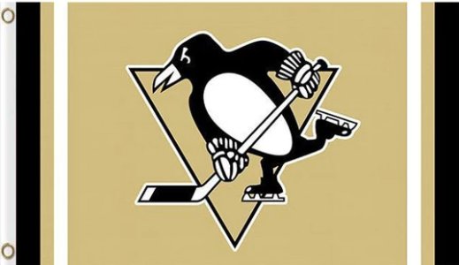 Pittsburgh Penguins Custom Flag 3X5Ft Polyester Digital Print Banner USA