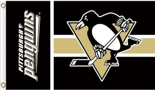 Pittsburgh Penguins Custom US Flag 3X5Ft Polyester Digital Print Banner USA