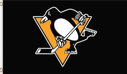 Pittsburgh Penguins Flag 3X5Ft Polyester Digital Print Banner USA