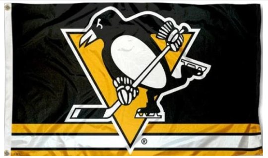 Pittsburgh Penguins USA Flag 3X5Ft Polyester Digital Print Banner USA