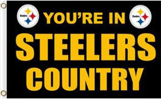Pittsburgh Steelers You Are In Country Flag 3X5 Ft Polyester Banner USA 90x150cm