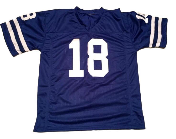 Roman Gabriel CUSTOM STITCHED Unsigned Football Jersey Blue