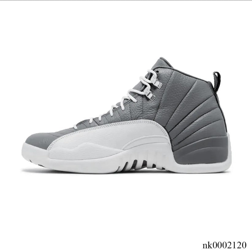 Air Jordan 12 Stealth Shoes Sneakers