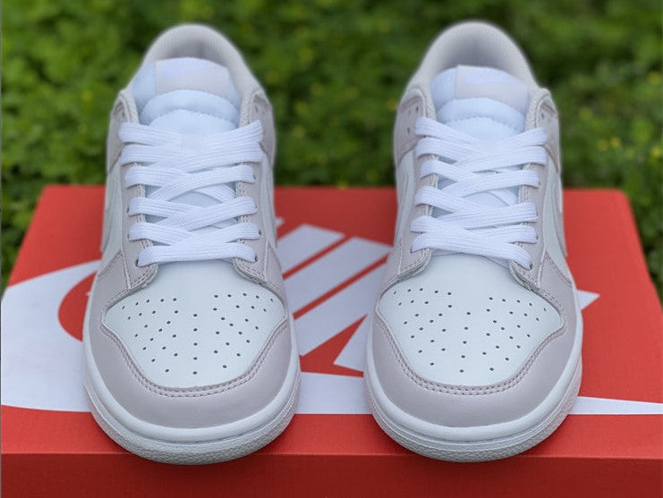 Dunk Low Venice Shoes Sneakers
