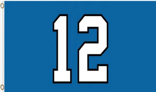 Seattle Seahawks 12 Flag 3X5 Ft Polyester Banner USA 90x150cm
