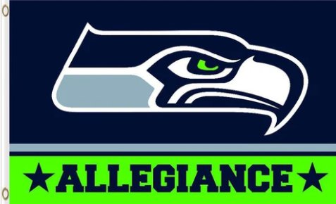 Seattle Seahawks ALLEGIANCE Flag 3X5 Ft Polyester Banner USA 90x150cm