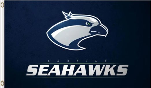 Seattle Seahawks Sport Club Flag 3X5 Ft Polyester Banner USA 90x150cm