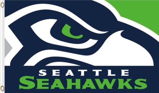 Seattle Seahawks Sport US Flag 3X5 Ft Polyester Banner USA 90x150cm