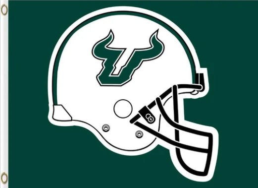 South Florida Bulls Helmet Flag 3X5ft Banner USA Polyester with 2 Brass Grommets
