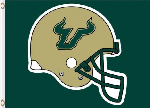 South Florida Bulls Helmet USA Flag 3X5ft Banner USA Polyester with 2 Brass Grommets
