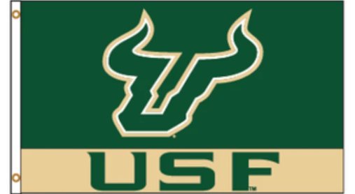 South Florida Bulls Sport Flag 3X5ft Banner USA Polyester with 2 Brass Grommets