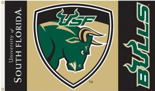 South Florida Bulls Sport USA Club Flag 3X5ft Banner USA Polyester with 2 Brass Grommets