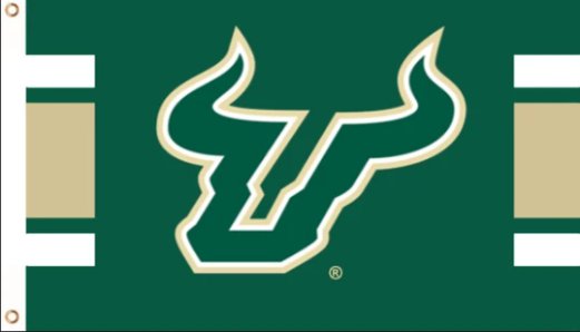 South Florida Bulls Sport USA Flag 3X5ft Banner USA Polyester with 2 Brass Grommets
