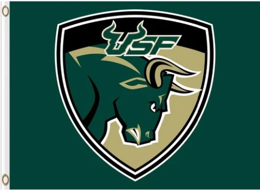 South Florida Bulls USA Flag 3X5ft Banner USA Polyester with 2 Brass Grommets