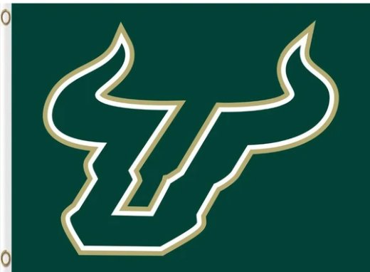South Florida Bulls USA Sport Flag 3X5ft Banner USA Polyester with 2 Brass Grommets