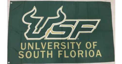 South Florida Bulls University Flag 3X5ft Banner USA Polyester with 2 Brass Grommets