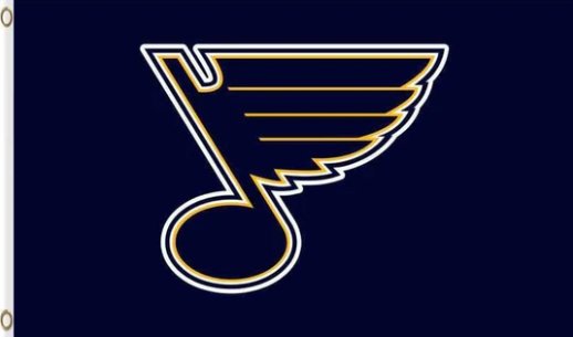 St. Louis Blues Team Flag 3X5Ft Polyester Digital Print Banner USA