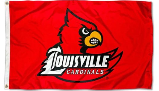 St. Louis Cardinals University Large College Flag 3X5Ft Banner USA Polyester with Brass Grommets