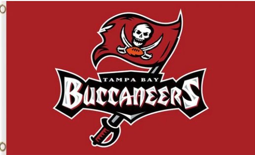 Tampa Bay Buccaneers Team Flag 3X5 Ft Polyester Banner USA 90x150cm