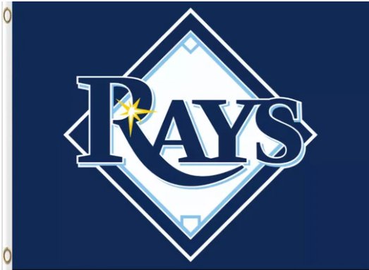 Tampa Bay Rays Blue flag 3X5Ft Banner USA Polyester with Brass Grommets