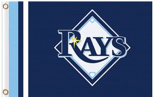 Tampa Bay Rays Custom flags 90x150cm Banner USA Polyester with Brass Grommets