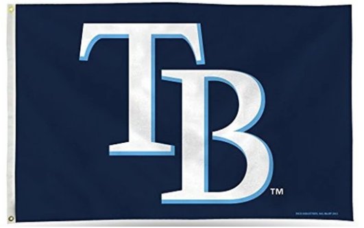 Tampa Bay Rays TB flag 3X5 Banner USA Polyester with Brass Grommets
