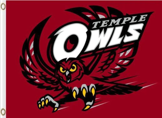 Temple Owls Club Flag 3X5ft Banner USA Polyester with 2 Brass Grommets