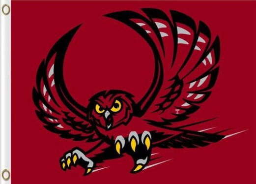 Temple Owls Club Sport Flag 3X5ft Banner USA Polyester with 2 Brass Grommets