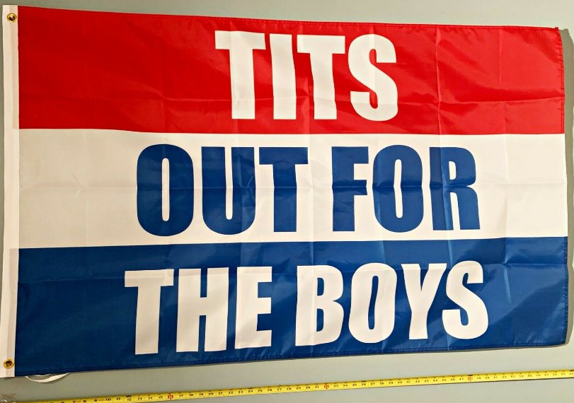 Tits Out For The Boys Flag Send Nudes Poster USA Sign 3x5'