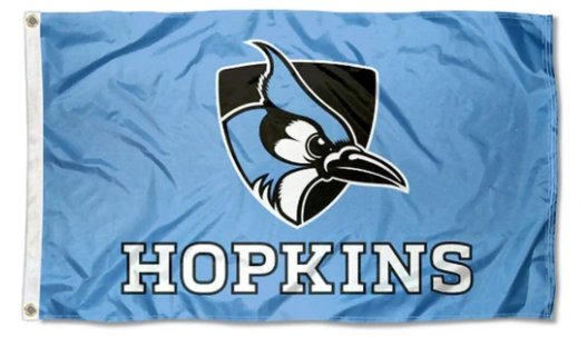 Toronto Blue Jays Lacrosse 3X5Ft Banner USA Polyester with Brass Grommets