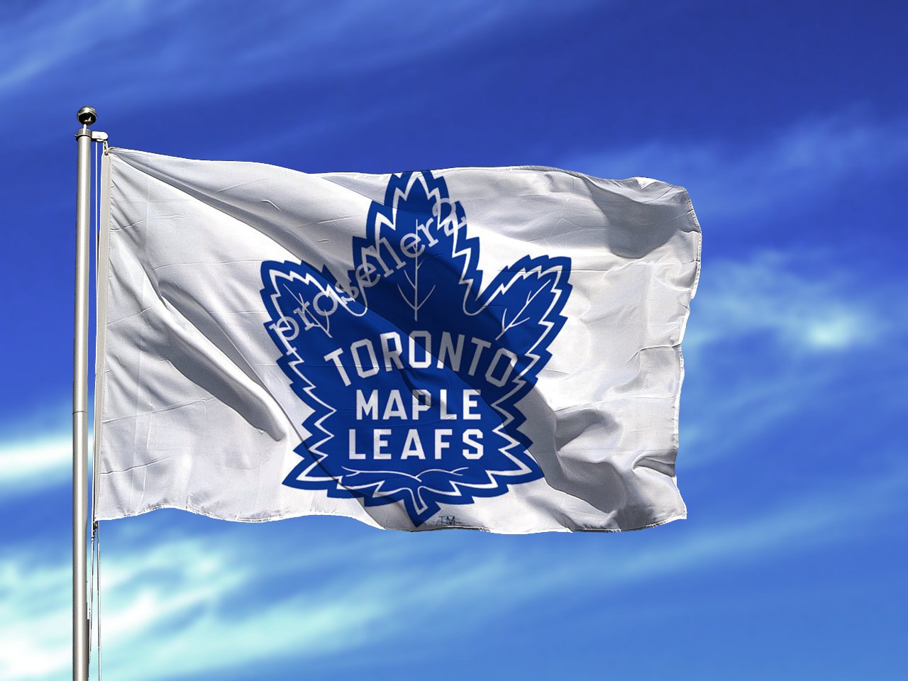 Toronto Maple Leafs Stanley Cup Champions Flag 3x5ft