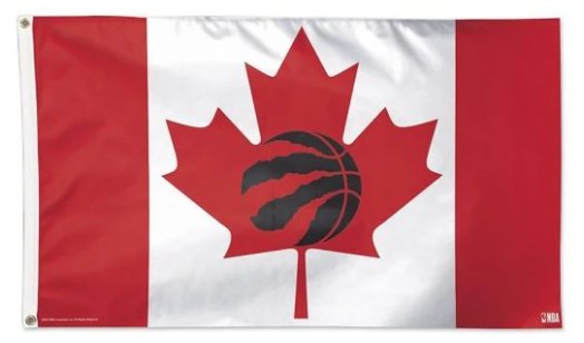 Toronto Raptors Custom Flag 3X5Ft Polyester Banner USA Digital Print