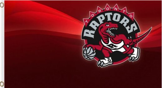 Toronto Raptors Flag 3X5Ft Polyester Banner USA Digital Print
