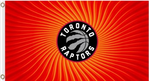 Toronto Raptors Team Flag 3X5Ft Polyester Banner USA Digital Print