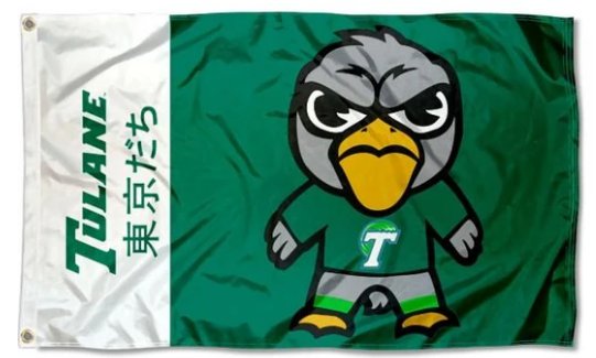 Tulane Green Wave Sport Flag 3X5ft Banner Polyester with 2 Brass Grommets