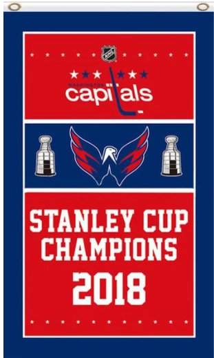 Washington Capitals 2018 Stanley Cup Champions Column Flag 3X5Ft Polyester Digital Print Banner USA