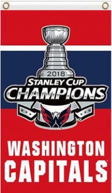 Washington Capitals Champions Vertical Flag 3X5Ft Polyester Digital Print Banner USA