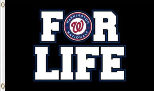 Washington Nationals For Life Flag 3X5Ft Banner USA Polyester with Brass Grommets