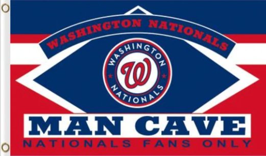 Washington Nationals Man Cave Flag 3X5Ft Banner USA Polyester with Brass Grommets